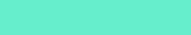 Door decal - Mint green (8)