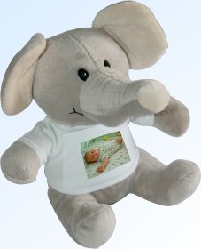 Elephant side