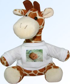 Giraffe front