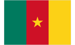 Tasse mit Flagge - Kamerun