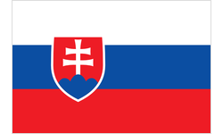 Tasse mit Flagge - Slowakei