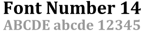 Aluminum Tag - Font 14
