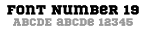safety vest - Font 19