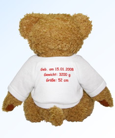 Teddybär Rückseite