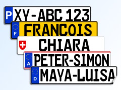 Licence Plate Sticker